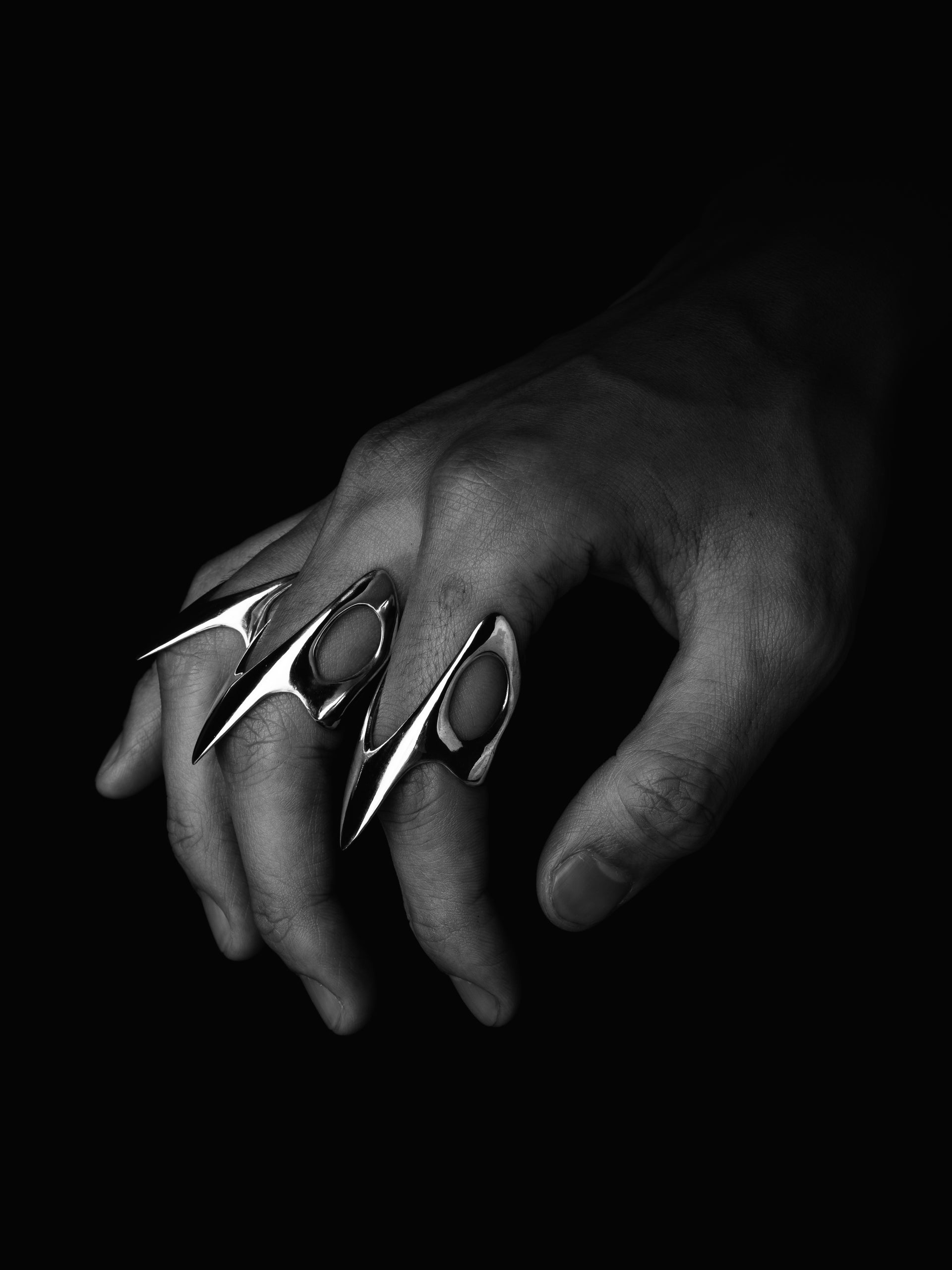 Talon Ring, A work by Plagiarist
